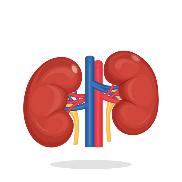 kidney disease diet