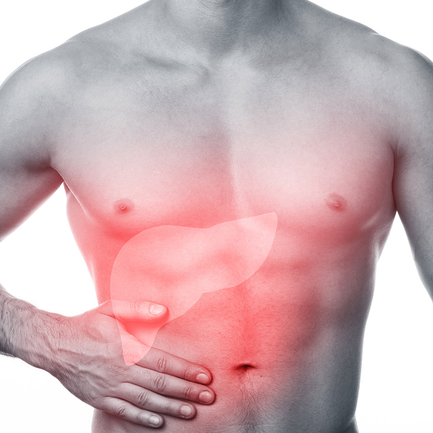 fatty liver management programme